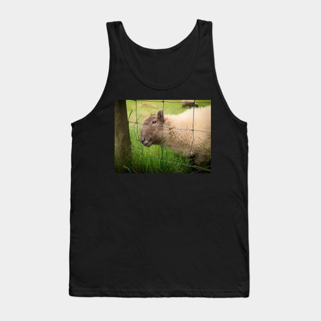 The Smiling Sheep Tank Top by RJDowns